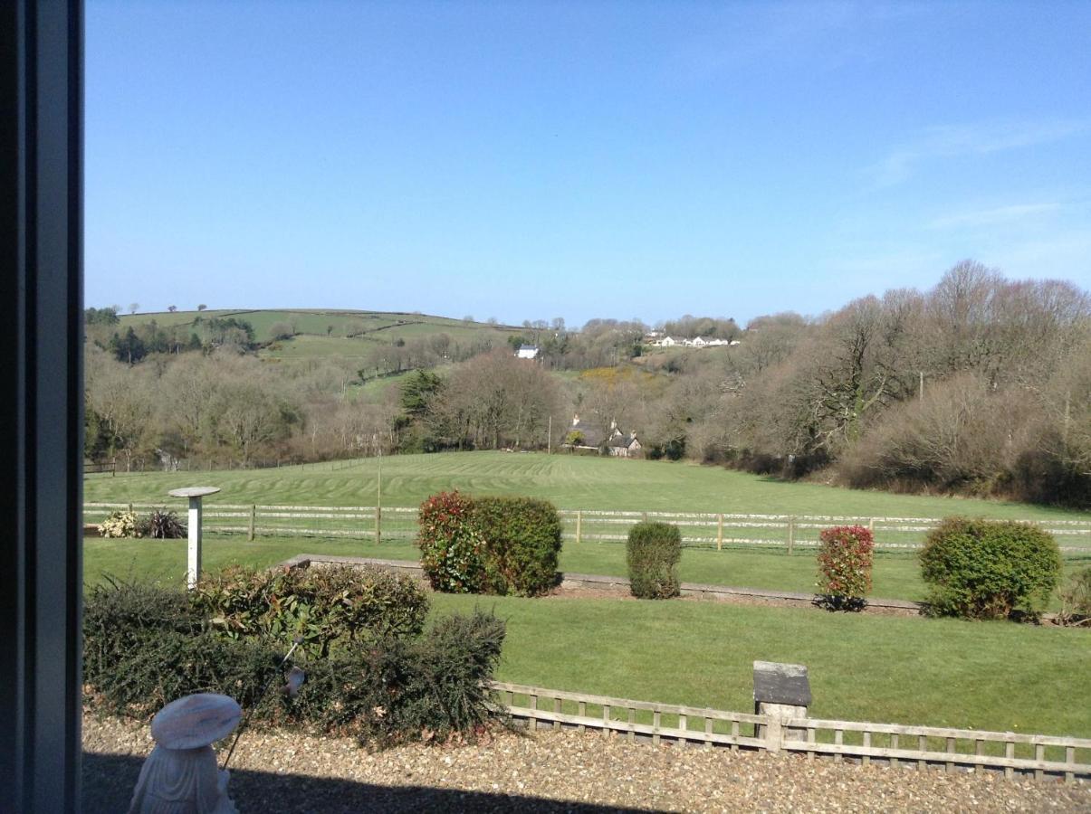 3 Bed Cottage With Hot Tub & Near New Quay Wales Llandysul Eksteriør bilde